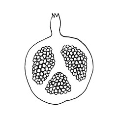 Pomegranate half sliced fruit botanical hand drawn vector illustration background. Rosh Hashanah card. Vegetarian eco food product, organic, vegan nutrition. For recipe book, floral menu cover design. - 504277279