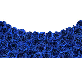 青い薔薇の絨毯、アーチデザインの背景アート