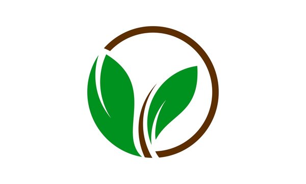 abstract nature leaf icon logo