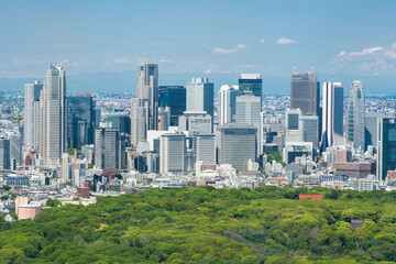 Obraz premium 新宿の高層ビル