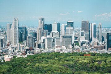 Fototapeta premium 新宿の高層ビル