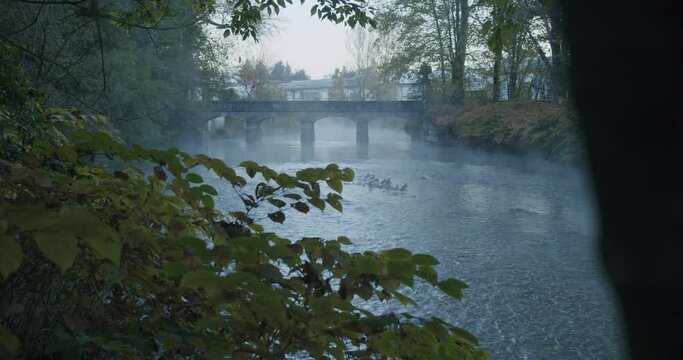 A slow movement let us see an ancient bridge over the Lambro river in the Park of Monza in Italy during a cold and foggy morning in autumn just before the sunrise