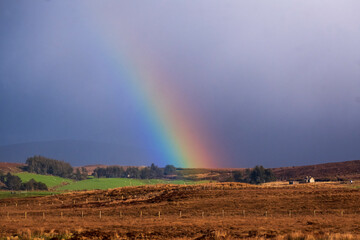 Rainbow over a field in County Mayo, Ireland