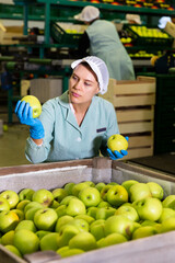 Portrait of cheerful woman worker sorting and preparing apples for packaging at factory, workers on background