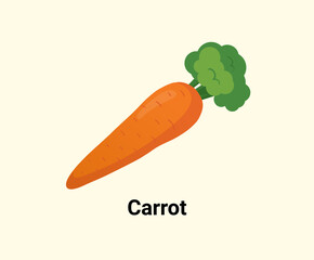 Carrot illustration set. Vegetable icon, market, store, groceries. Vegetable Vector drawing. Hand drawn style.