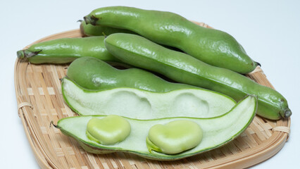 そらまめ・Fava beans