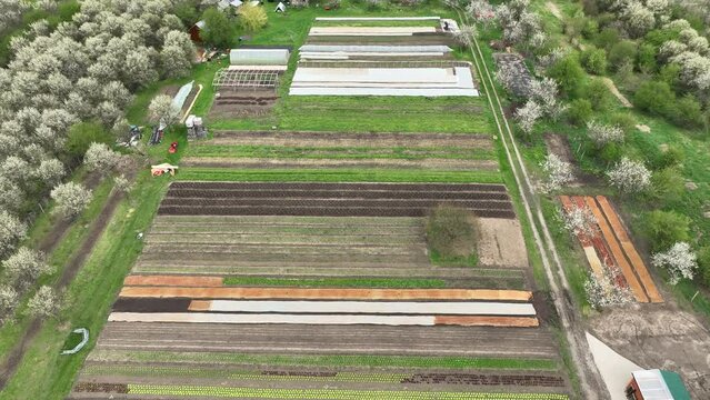 Bio farm vegetable farming agricultural garden farmer fruit tree drone aerial leaf kohlrabi spinach Spinacia Brassica oleracea gongylodes bio greenhouse folio agricultural farm garden harvest leaf