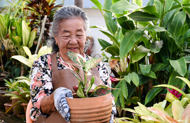 Portrait of asian senior elderly woman who is smiling and sitting on chair in front of plants and...