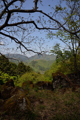 竹田城址を展望する立雲峡、第一展望台に向かう山中から