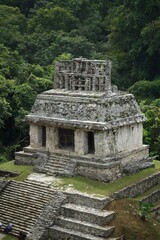 Naklejka premium Palenque 4