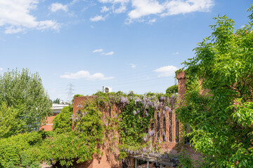 Outdoor garden red brick building