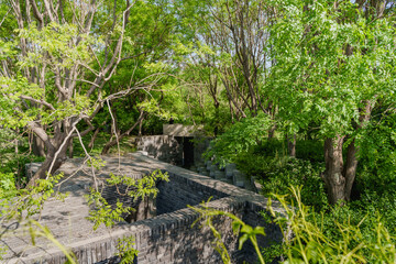 Green garden holiday tranquility
