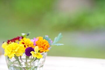 庭の木の台に乗ったエディブルフラワー