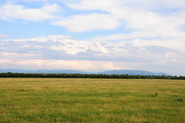 Endless flat steppe under a cloudy summer sky and the outskirts of the forest at the foot of high hills.