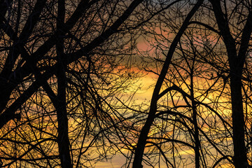 Red and Yellow Sunset with Trees