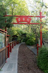 Forest Food Street Signboard Path Corridor