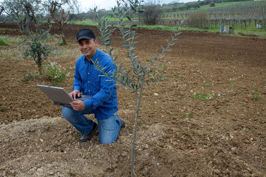 Photo of a smiling farmer with a laptop in his hand after planting an olive tree in a field.