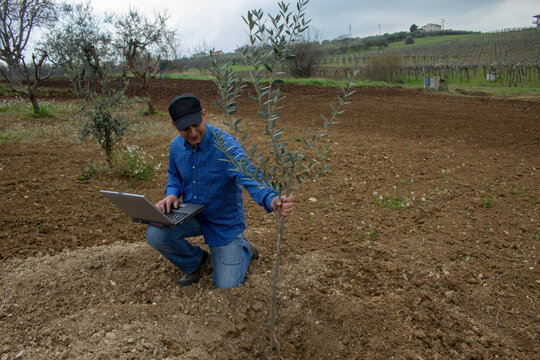 Photo of a smiling farmer with a laptop in his hand after planting an olive tree in a field. - Powered by Adobe