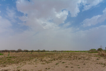 Arabian Landscape