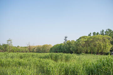 Fototapeta premium Olympic Park Beijing Olympic Tower