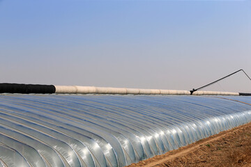 Plastic greenhouse in northern China