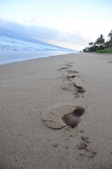 beach in the morning