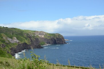 Naklejka premium Hawaiian Coast