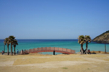 fine bridge on the sea