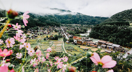 flowers on the river