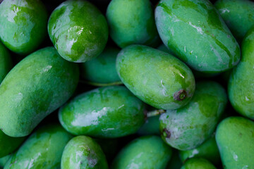 Fresh mango fruit 