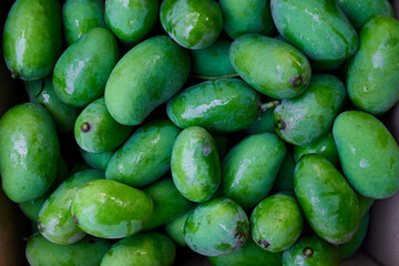 Fresh mango fruit 