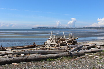 Fototapeta na wymiar A pile of driftwood at a Pacific Northwest beach