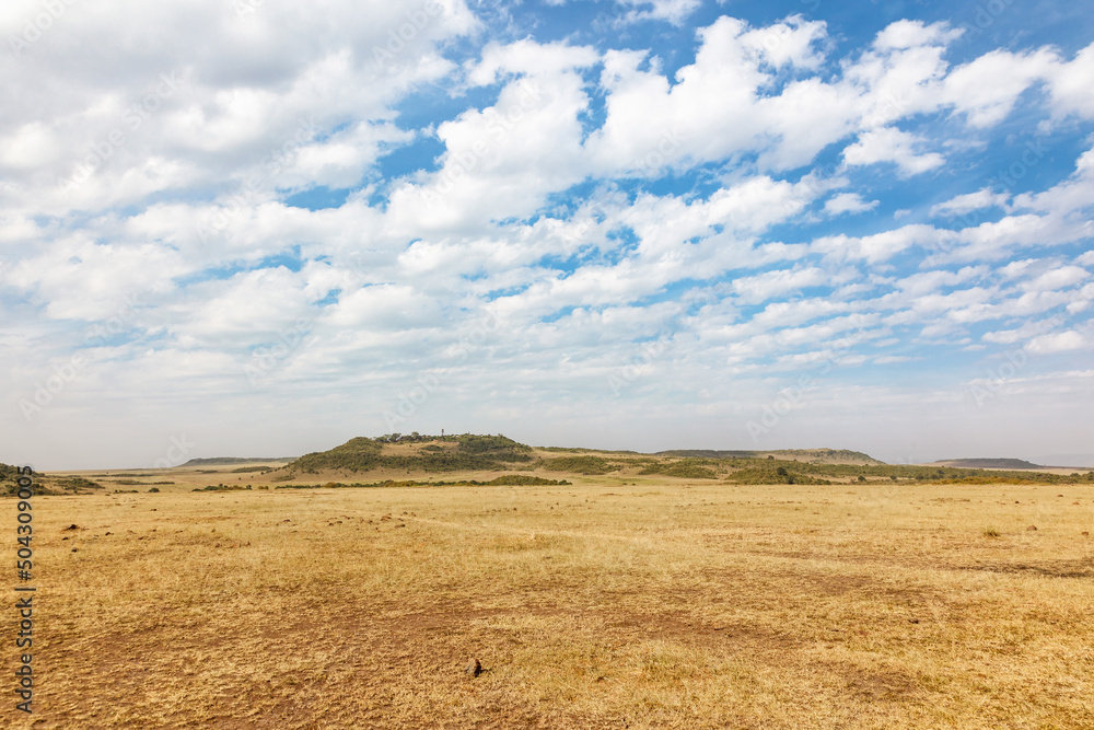 Sticker Landscape view on the Masai Mara savannah in Kenya