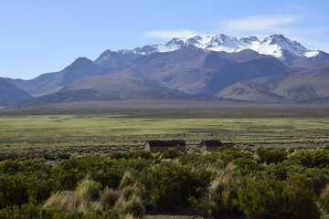 Sajama National Park surrounded by snow-capped mountains with black clouds surrounded by dry vegetation. Bolivia - obrazy, fototapety, plakaty