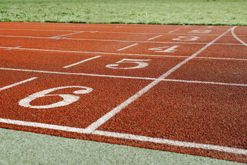 Outdoor stadium. Close-up of running track with numbers and green lawn on sunny day. Sport and workout concept