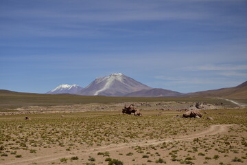 The stone hills are covered with sparse vegetation. Off-road tour on the salt flat Salar de Uyuni in Bolivia