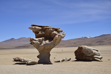 Fototapeta na wymiar The famous stone tree rock formation (Arbol de Piedra) in the Siloli desert in the region of the Uyuni Salt Flat