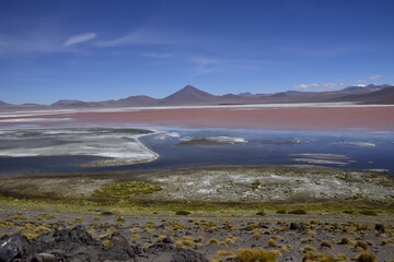 Laguna Colorada, on Eduardo Avaroa National Reserve in Uyuni, Bolivia at 4300 m above sea level.