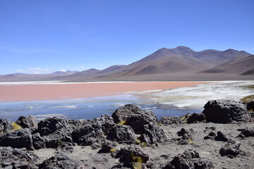Fototapeta na wymiar Laguna Colorada, on Eduardo Avaroa National Reserve in Uyuni, Bolivia at 4300 m above sea level.