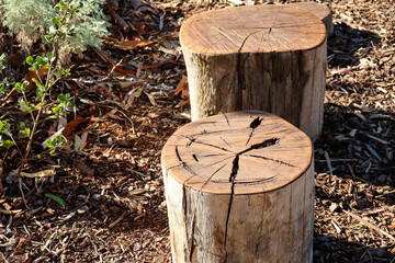 cut timber log stepping stones in landscaped gardens
