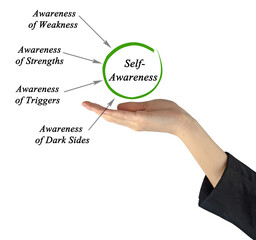 Four components of Self- Awareness