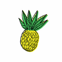 Pineapple, drawn elements of a sketch style doodle. Whole pineapple with leaves. Vector simple illustration, isolated on white background.