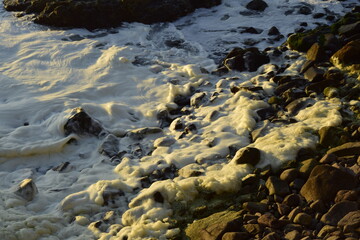 Sea foam among the rocks on the ocean coast. Antofagasta, Chile.