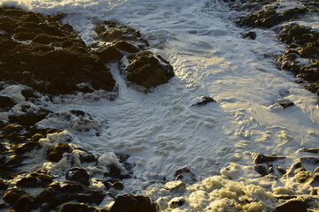 Sea foam among the rocks on the ocean coast. Antofagasta, Chile.