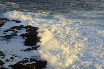 Sea foam among the rocks on the ocean coast. Antofagasta, Chile.