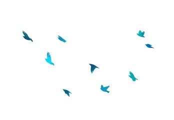 A flock of blue birds. Vector illustration
