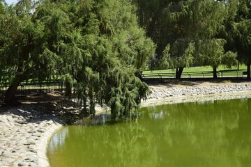 Fototapeta na wymiar Reservoir in the city park. Santiago, Chile