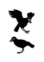 ガラの悪いカラスのイラスト