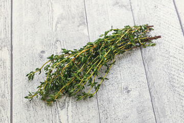 Fresh green Thyme branch heap