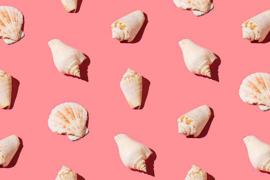 Creative Pattern Made Of Seashells On Peach Pink Background. Minimal Flat Lay Aesthetic. Summer And Sea Concept.